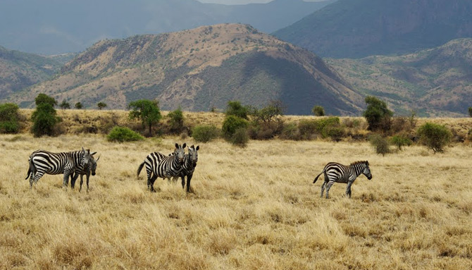 Nechi-Sar National park
